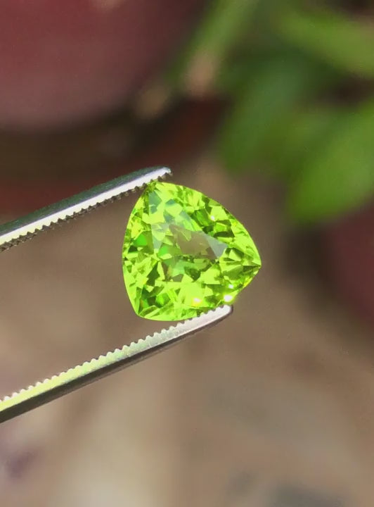 Natural peridot 2,50 ct, trillion cut, untreated