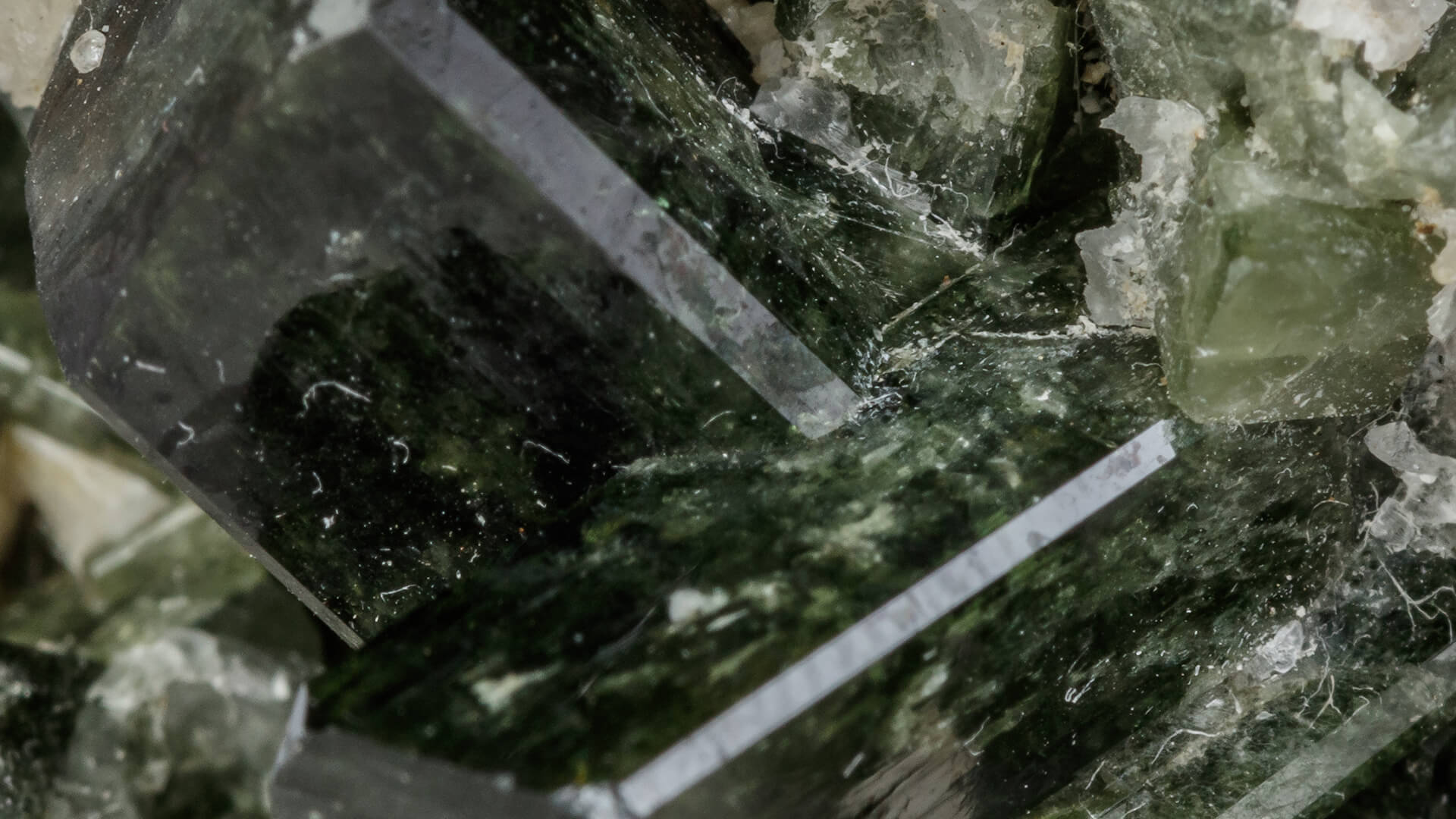 Macro mineral green tourmaline 